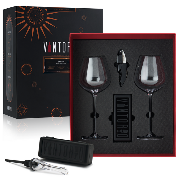 Riedel VINUM Martini Glasses (4-Pack) Bundle with Wine Pourer  with Stopper and Polishing Cloth (3 Items): Wine Glasses