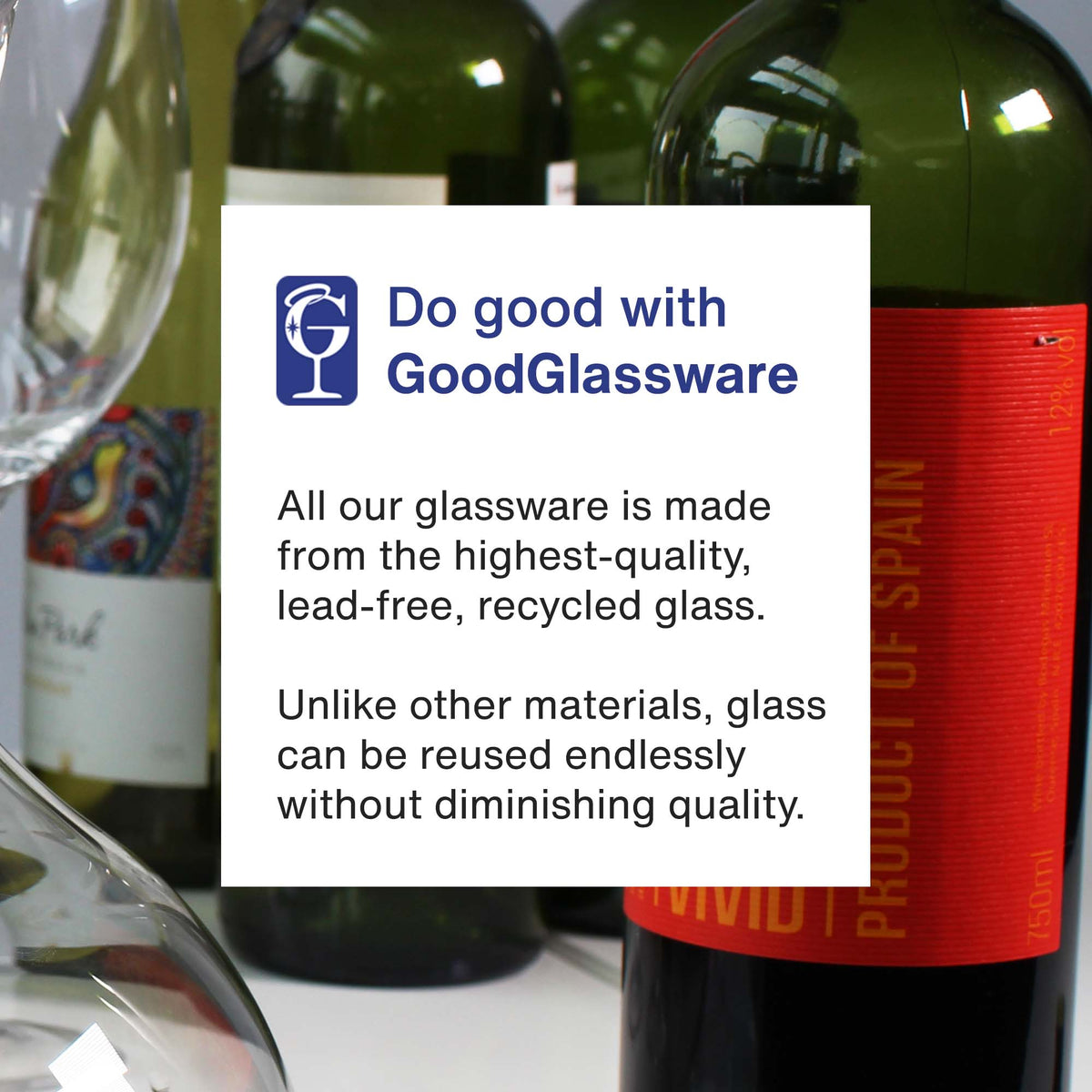 Vintorio GoodGlassware Personal Red Wine Decanter